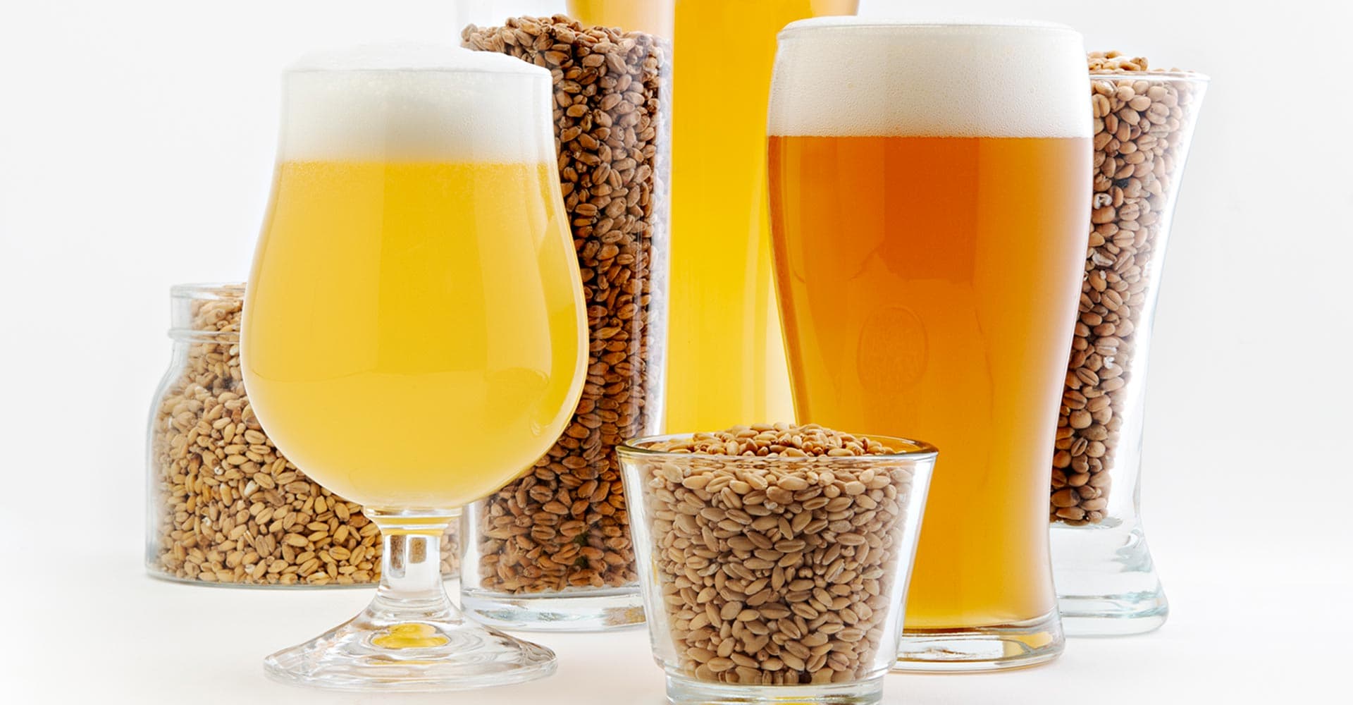 Critical Thinking on Wheat