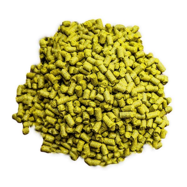 Elements of Beer: Recycling Hops in the Brewhouse