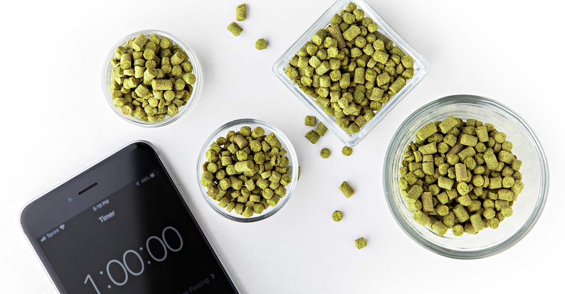 Learning Lab: Standard Hops Additions