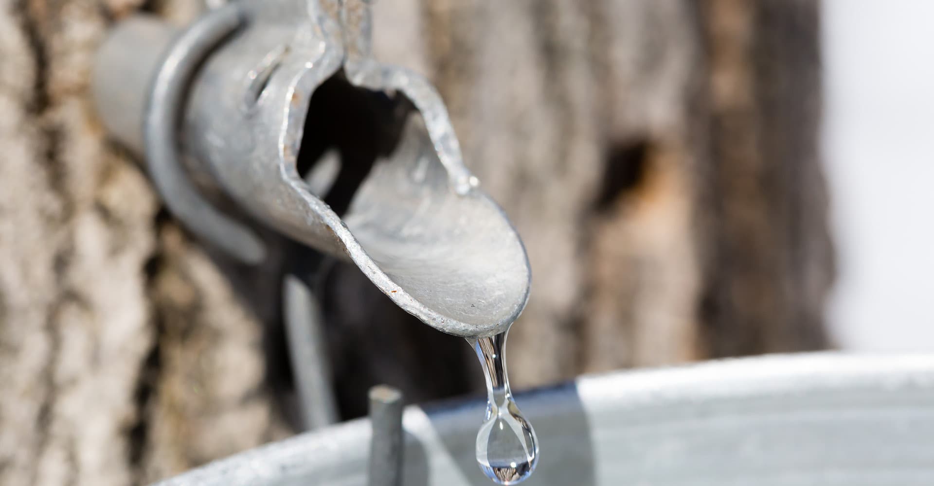 Special Ingredient: Make It Sappy