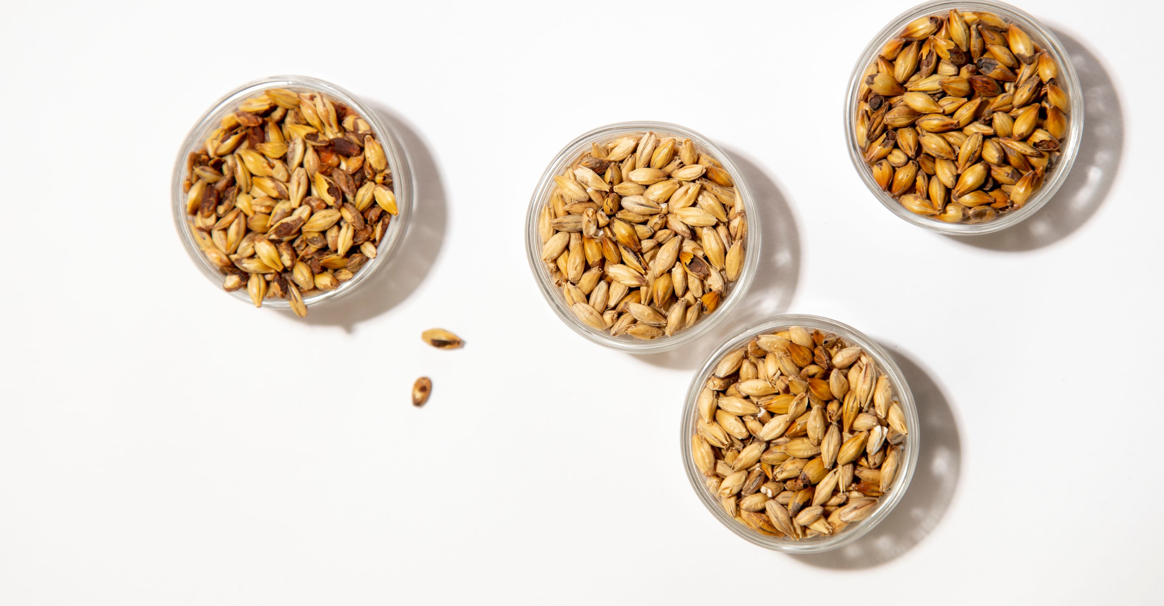 Learning Lab: A Richer Palette with Specialty Grains