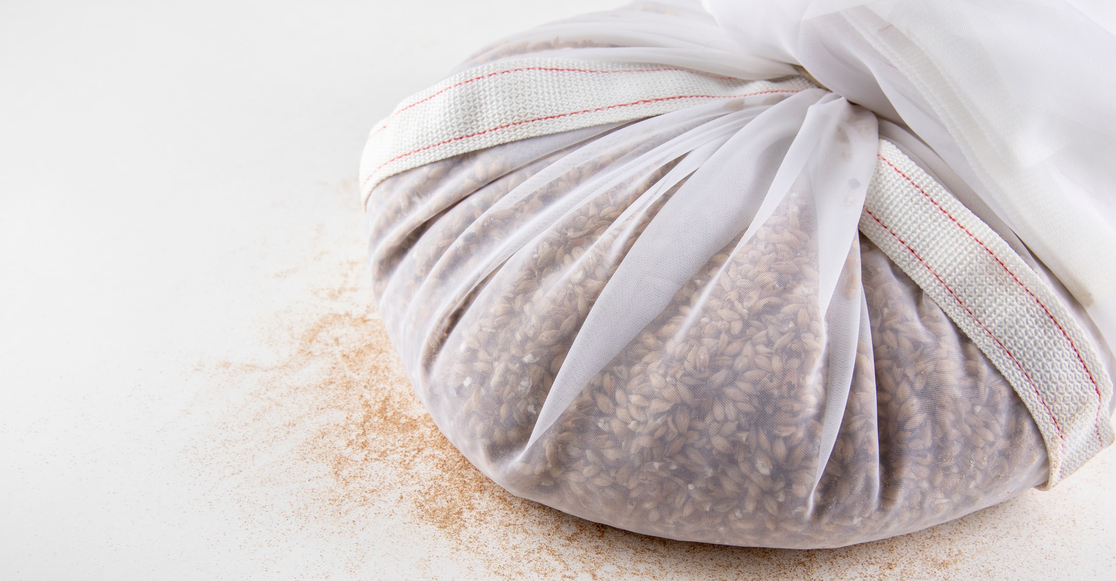 Learning Lab: The Foundations of Malt