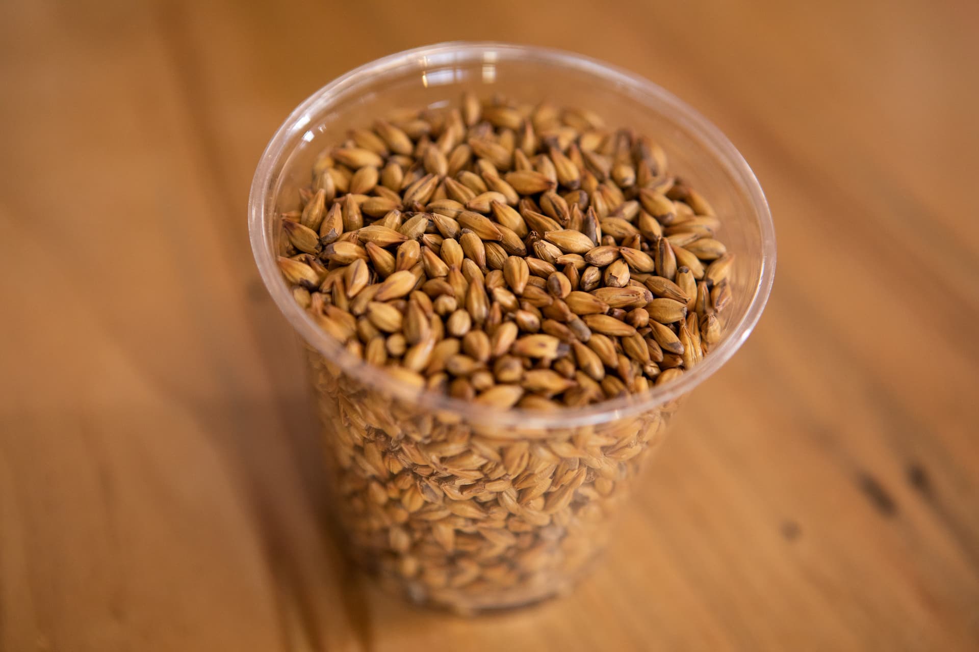 Historical Brewing Practices by Country and What Led to Them (Video Tip)