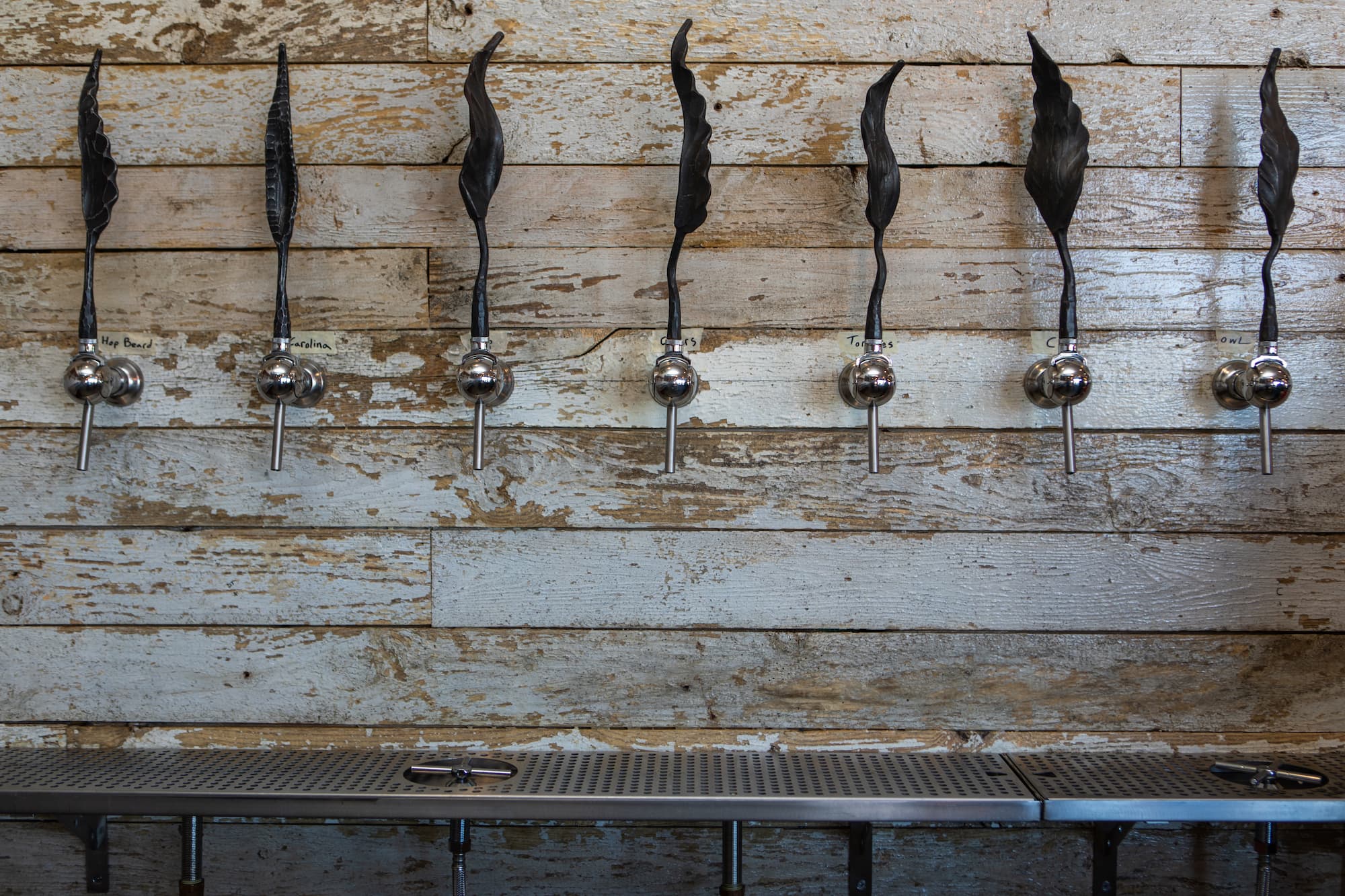 How to Store and What to Look for With Aged Hops (Video Tip)