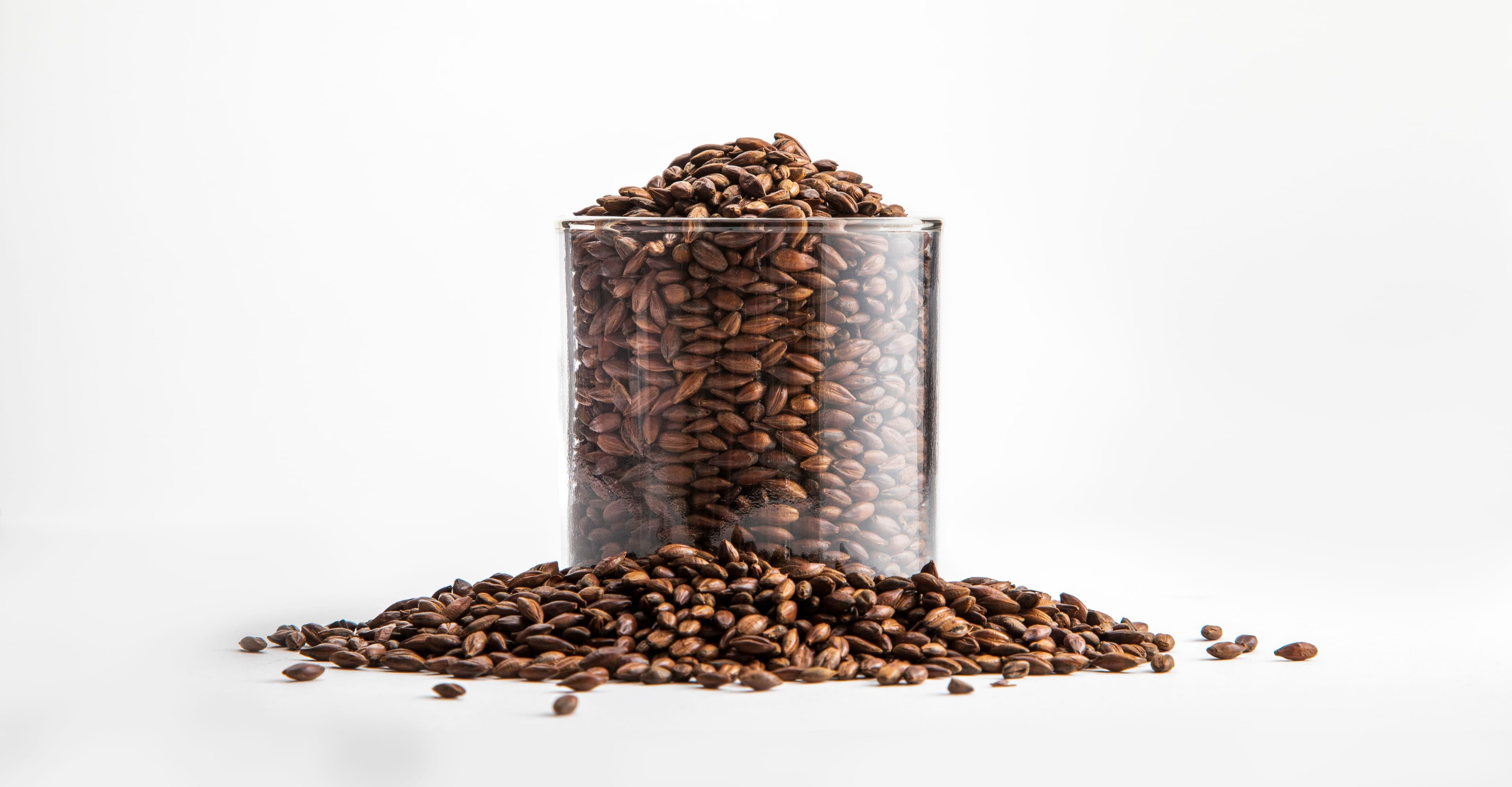 The Heart of Darkness: Exploring Dark Malts