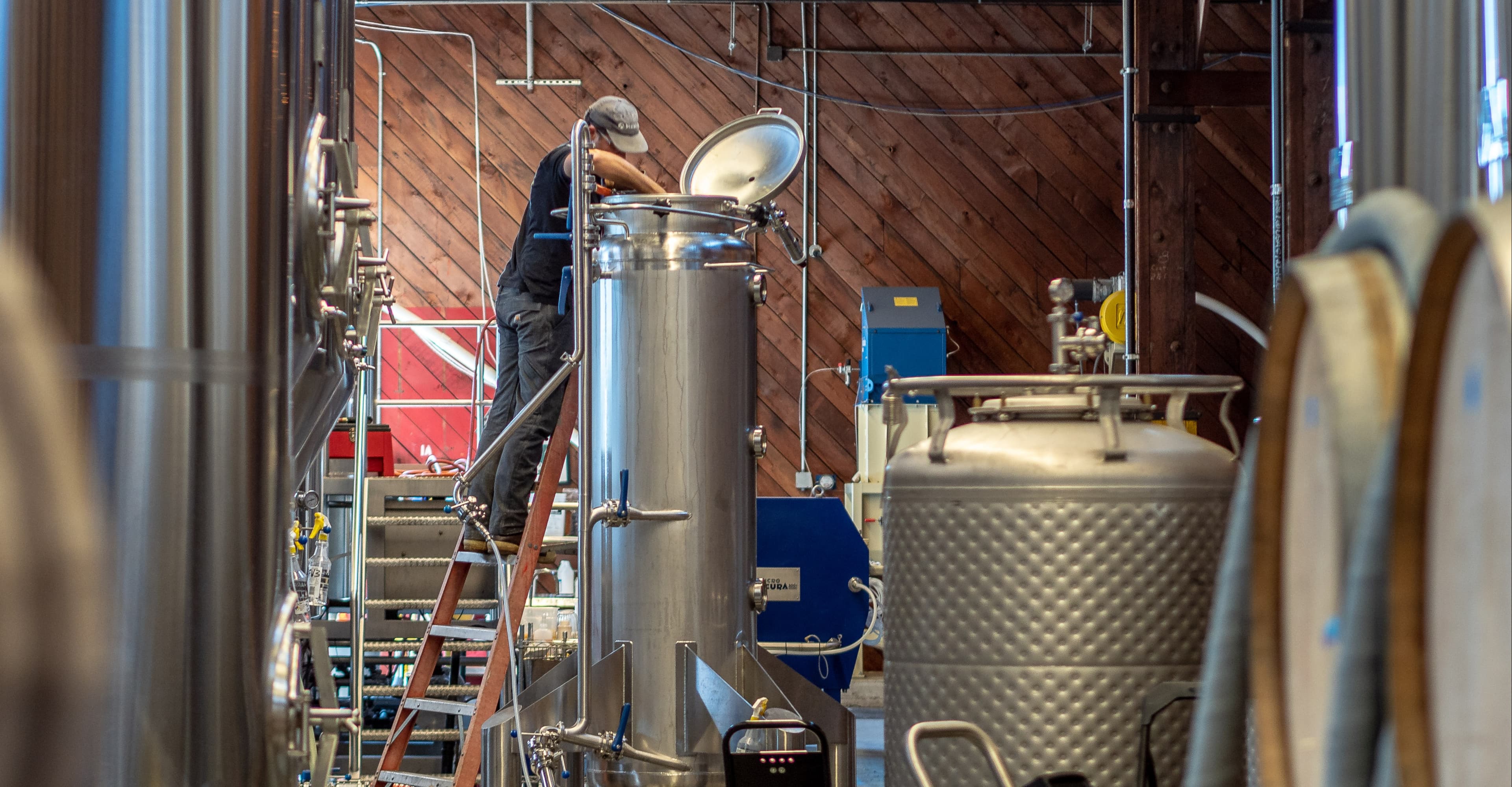 Ready, Aim, Hop. Examining the Hop Gun in Breweries