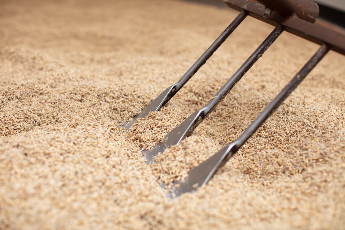 Video Tip: Avoiding Over-Modified Malt