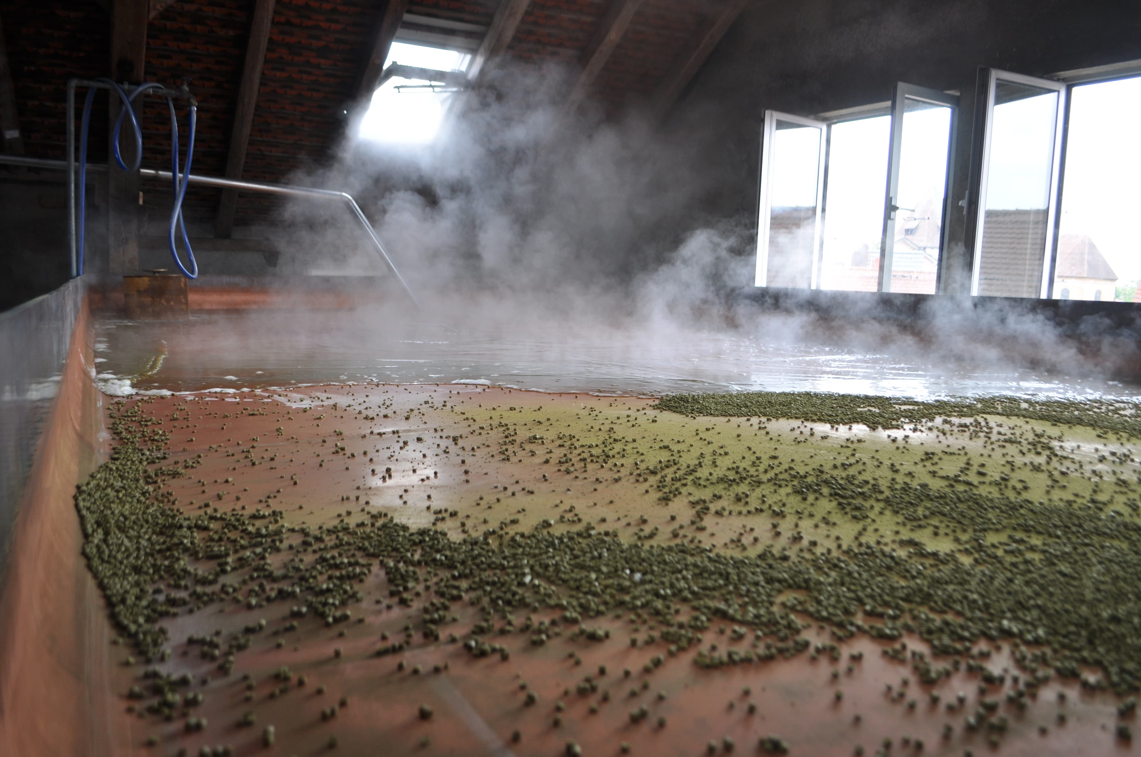 Exploring the Most Brewery-Rich Region in the World