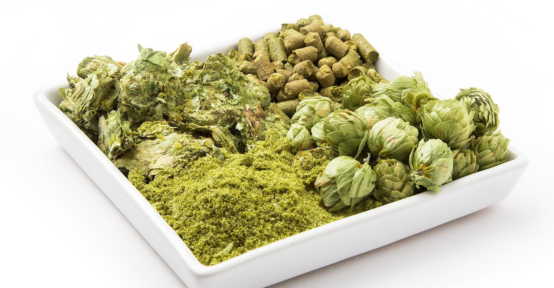 Hops: Blending and Pairing