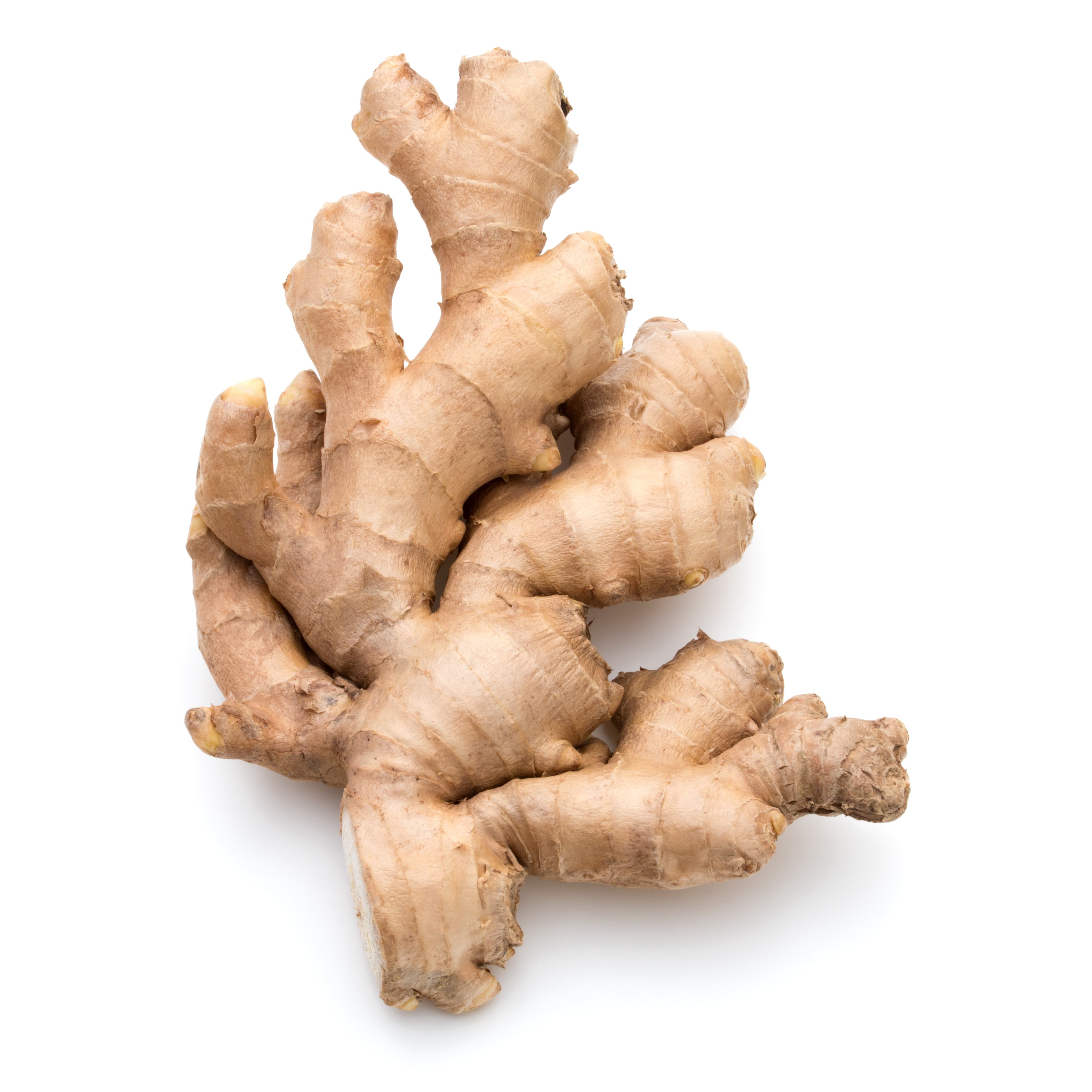 Special Ingredient: Brewing Beer with Ginger