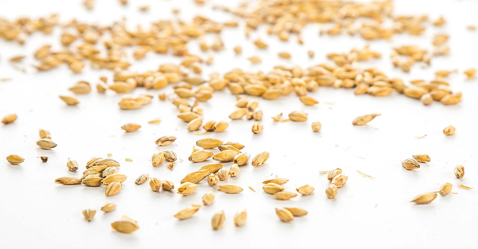 Exploring Scottish Beers from Shillings to Wee Heavy