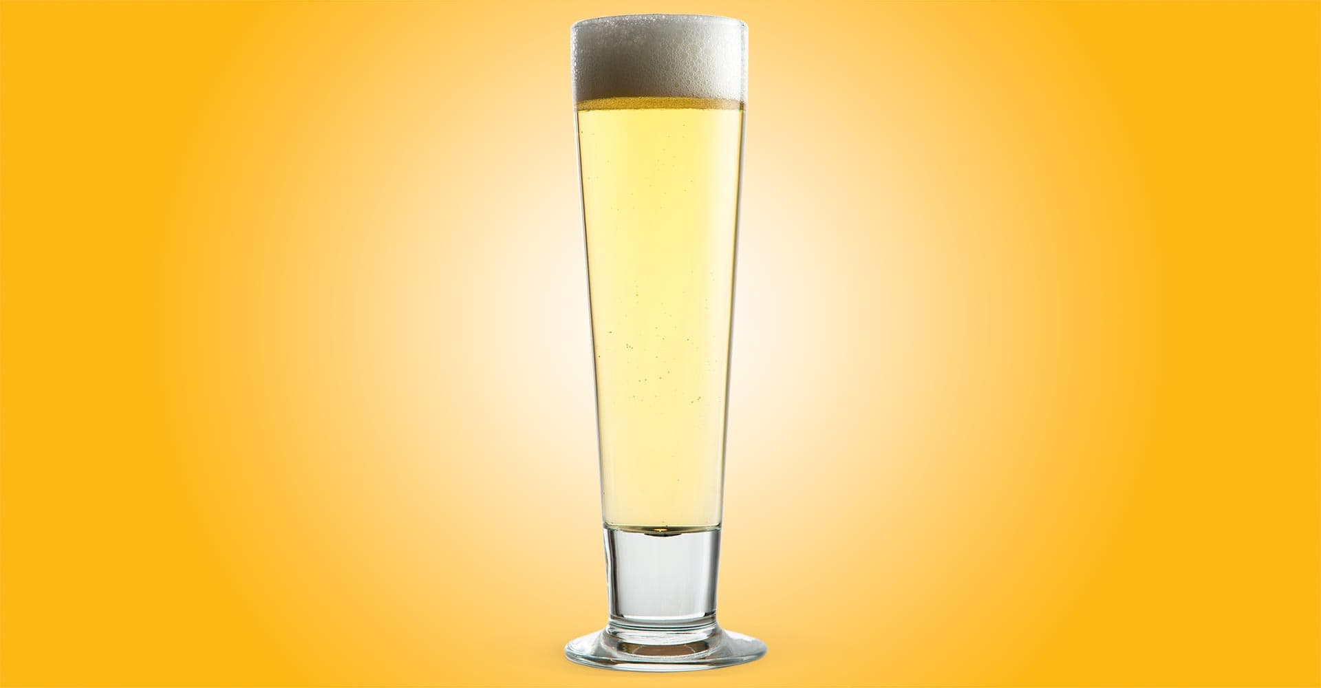 Make Your Best German Leichtbier