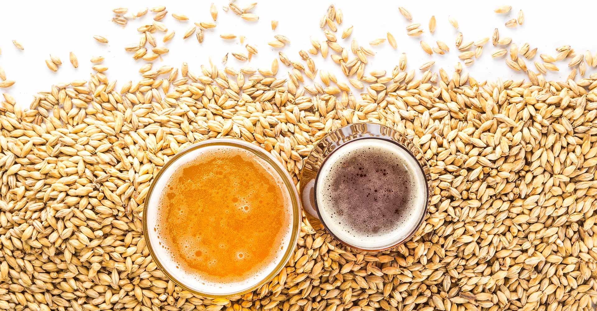 The Secondary Flavors of Malt