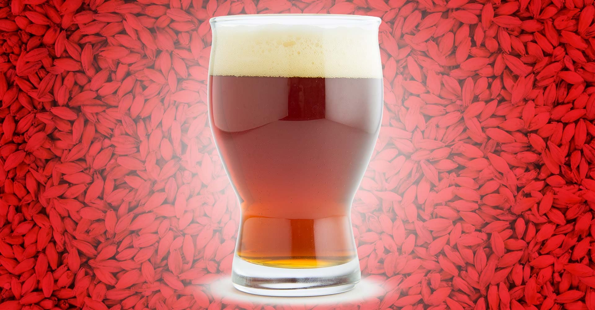 The Importance of the Color Red When it Comes to Malt In Beer
