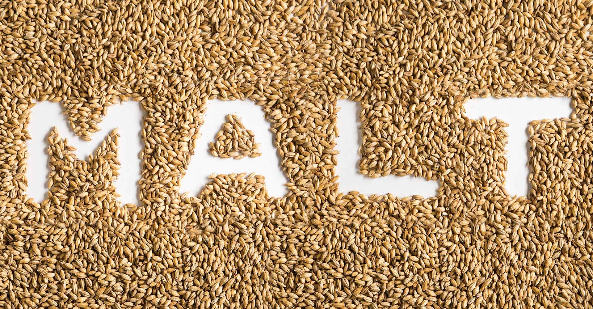 The Malt In Your Beer Offers More Than Just Flavor