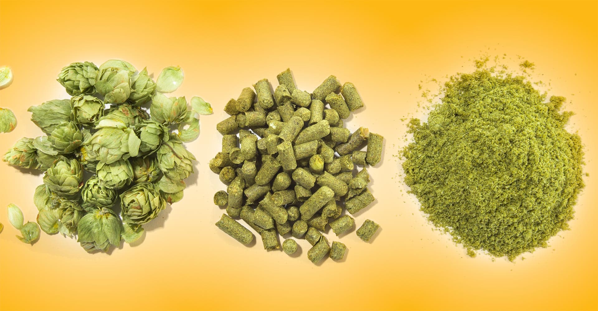 Understanding Bitterness