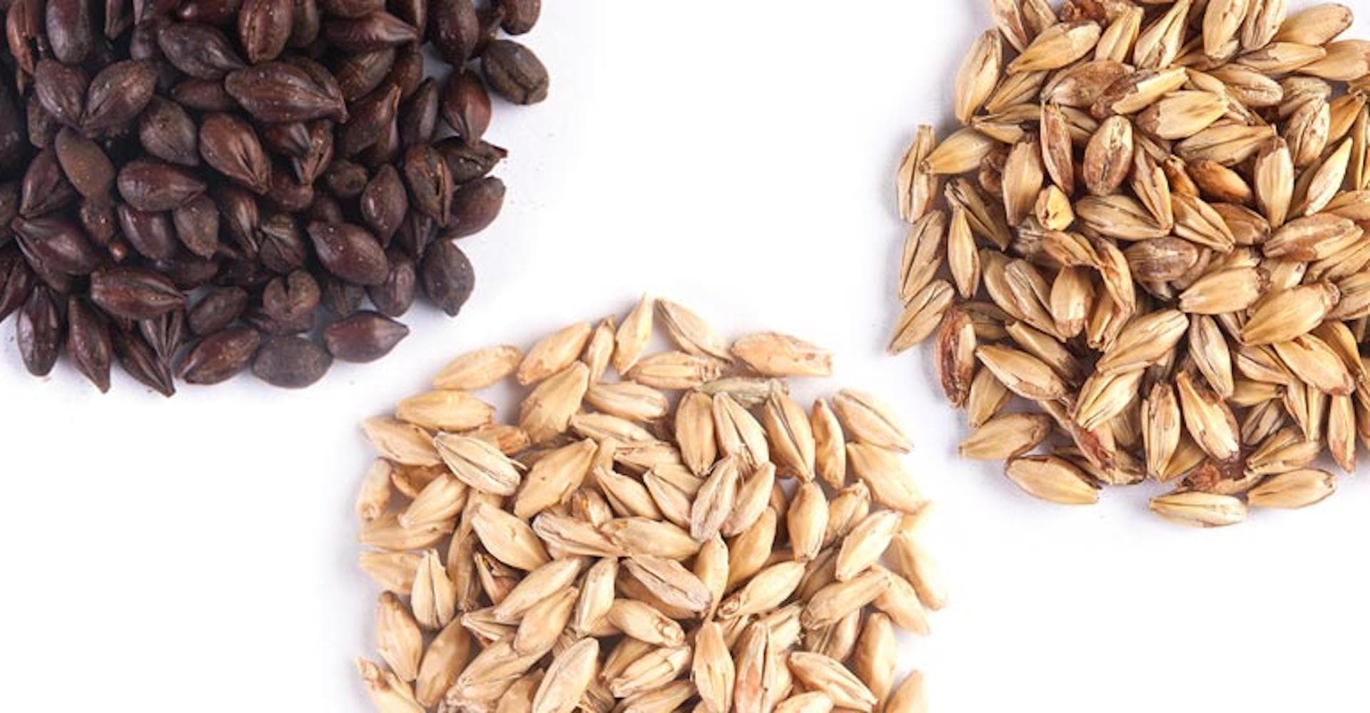 Make Your Best Flanders Red Ale