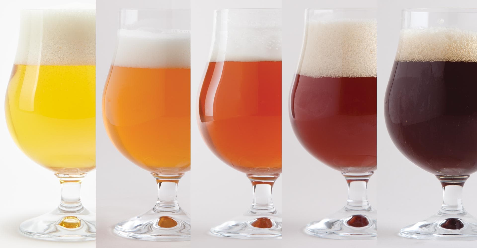 Actual Beer Color vs. Predicted Color