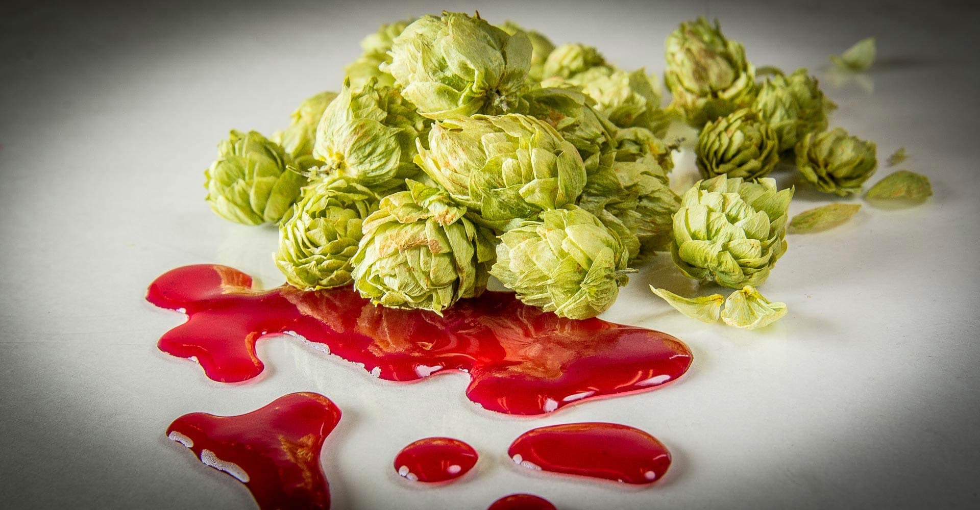 Killing Craft? AB InBev Blocks Sale of South African Hops to American Craft Brewers