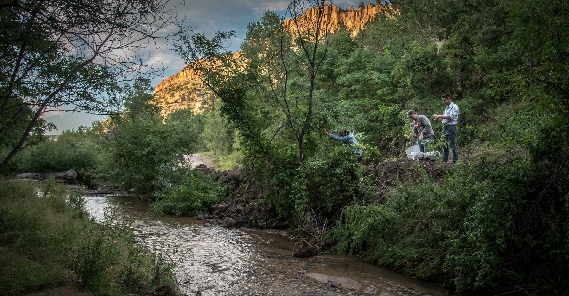 The Hunt for Wild Hops