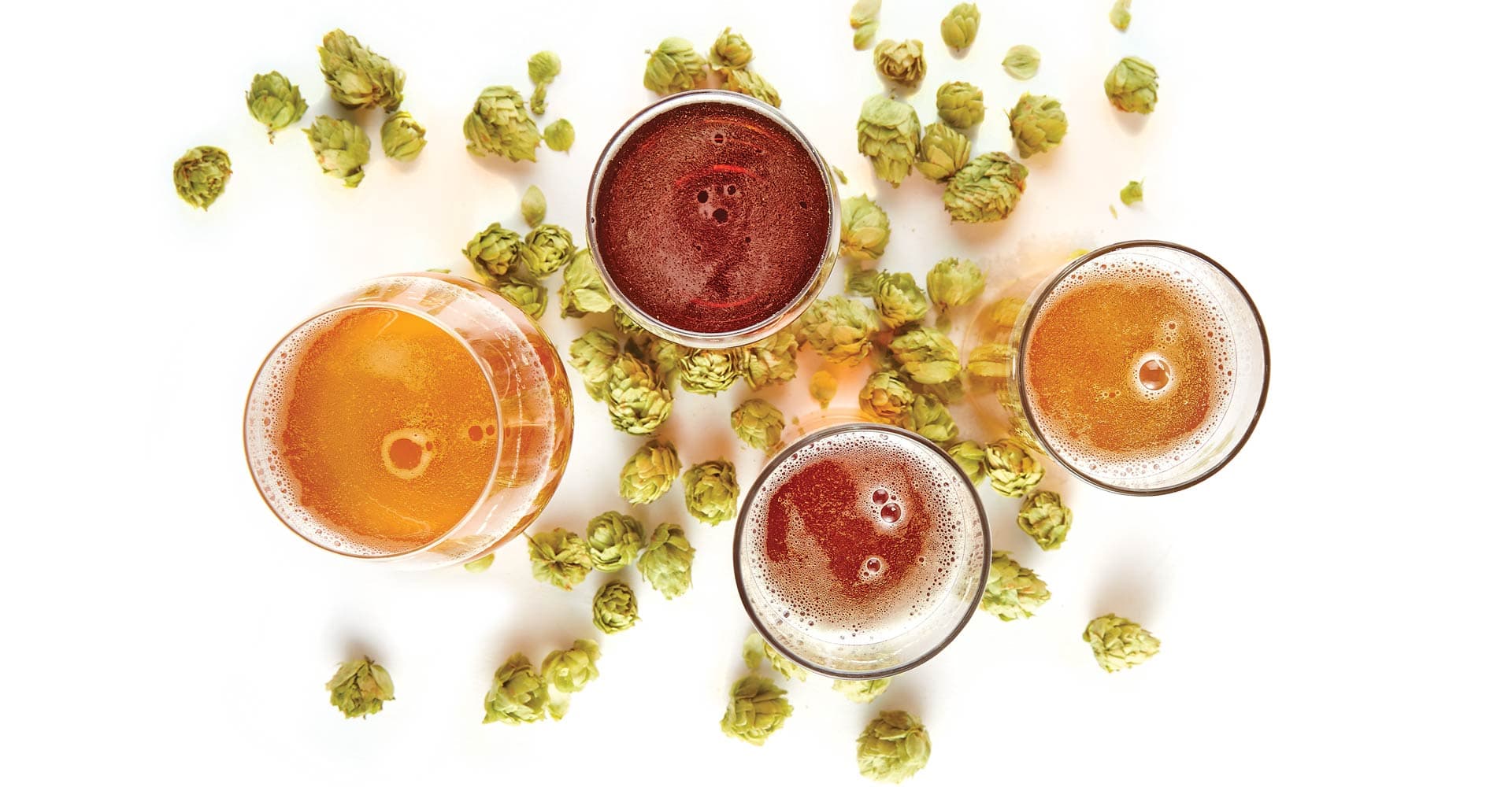 Hops and Lagers