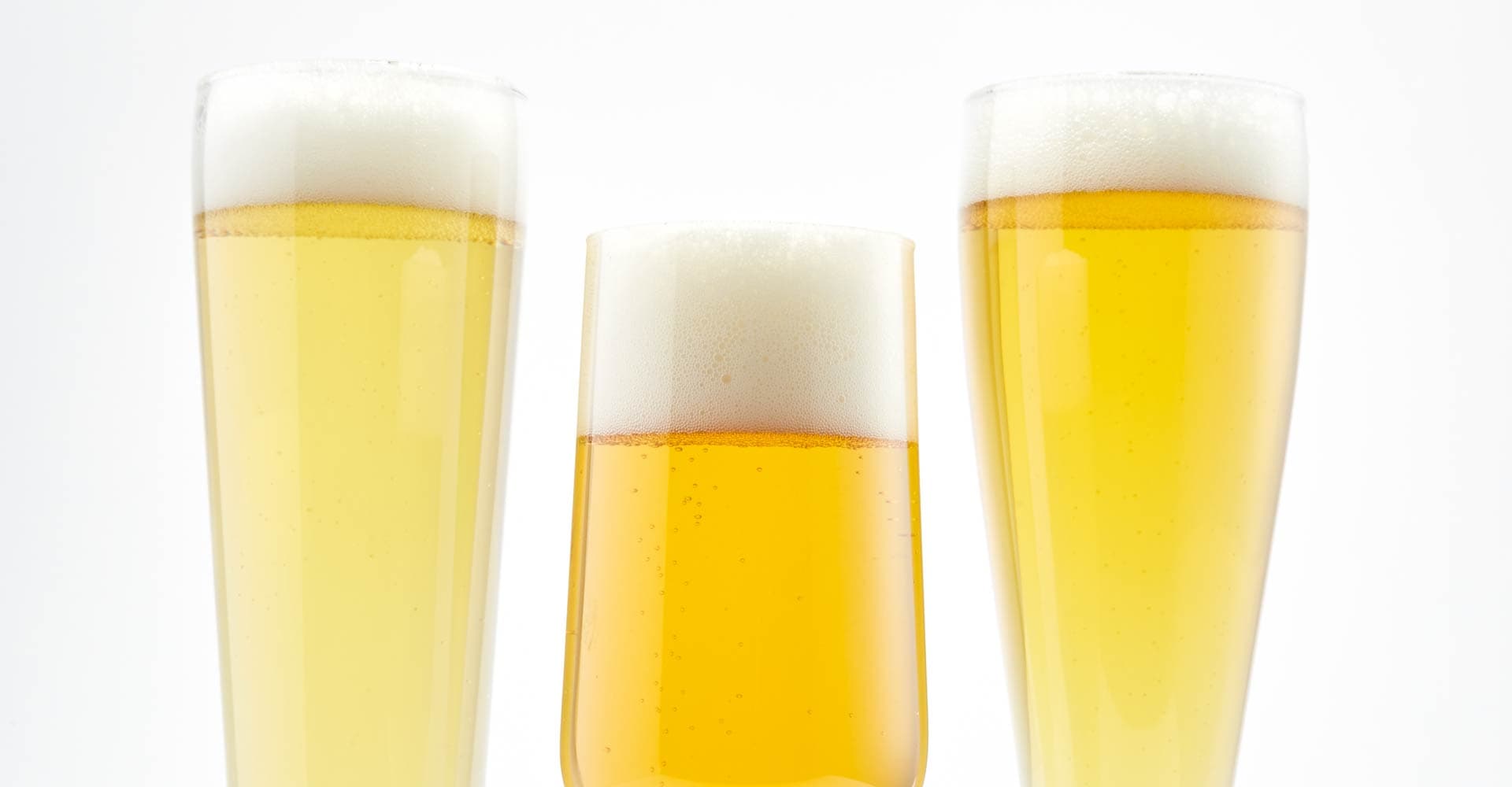 The Pilsner Landscape