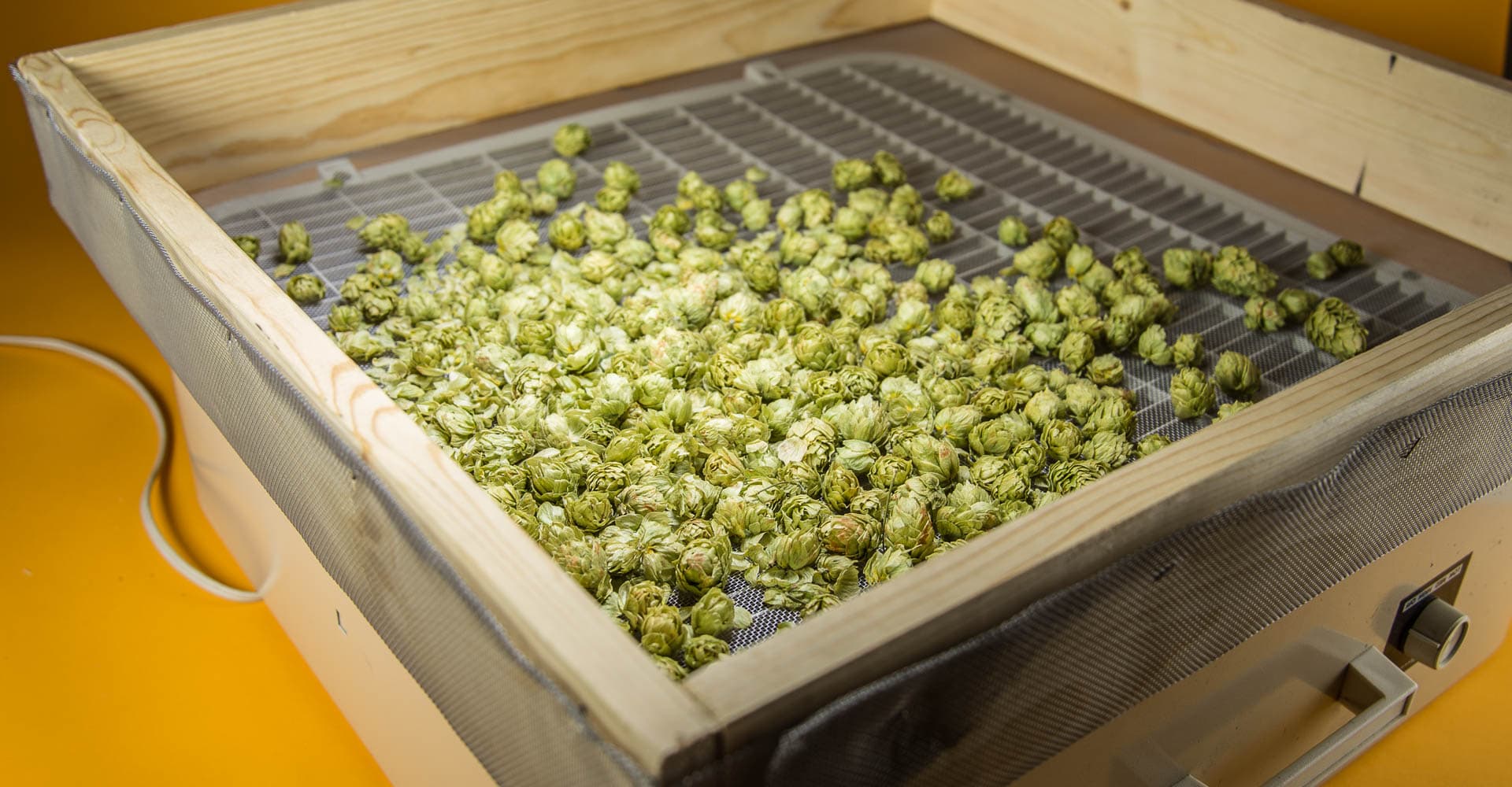 DIY: Hops Dryer