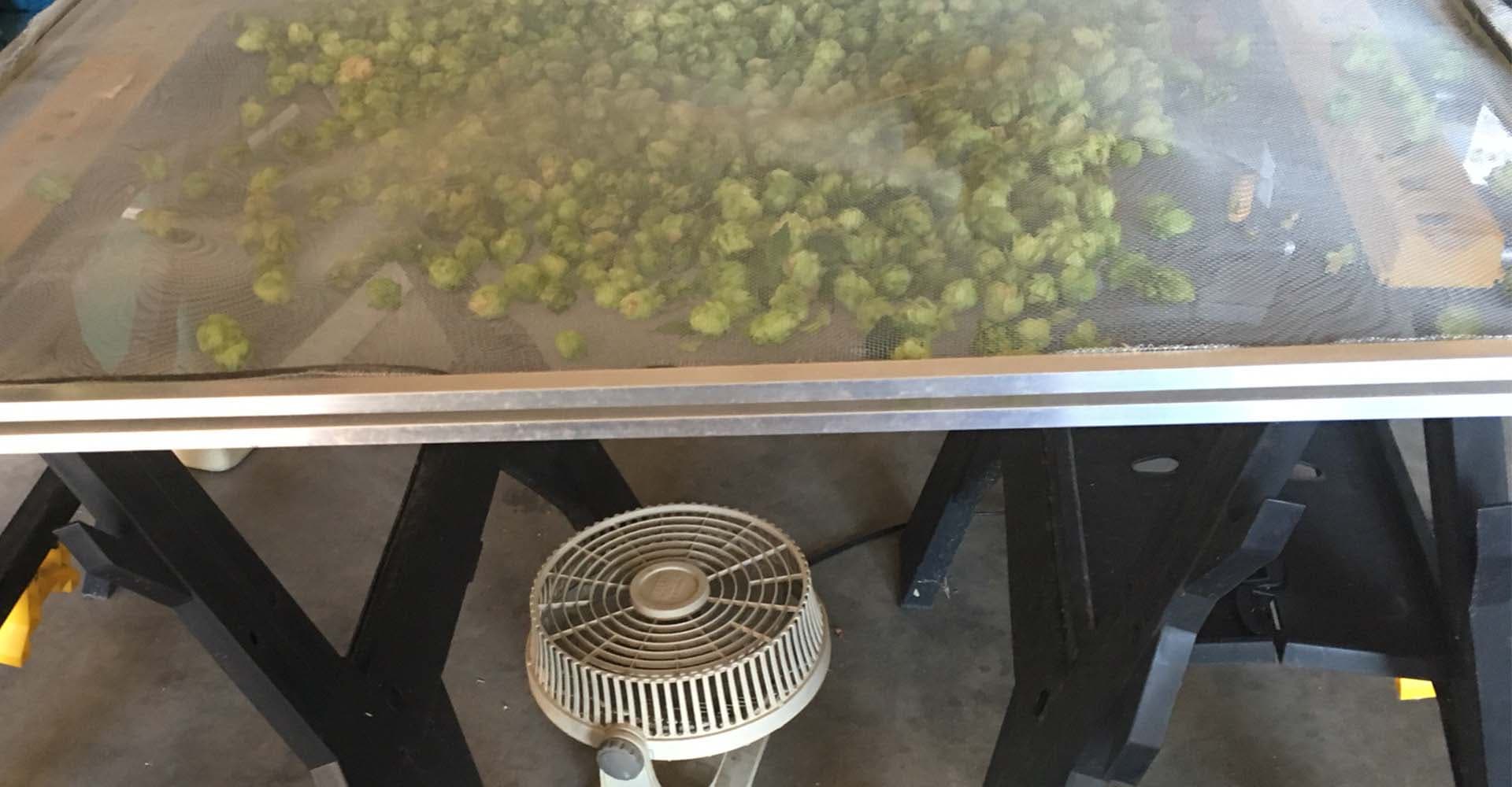 Hops: Homegrown For Homebrew