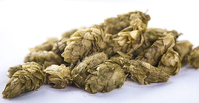 Practically Bursting with Hops