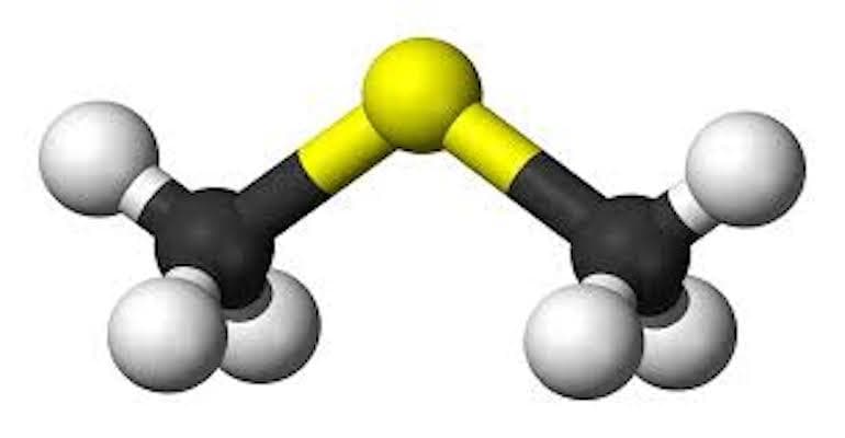 Does your Beer Taste Like Corn?