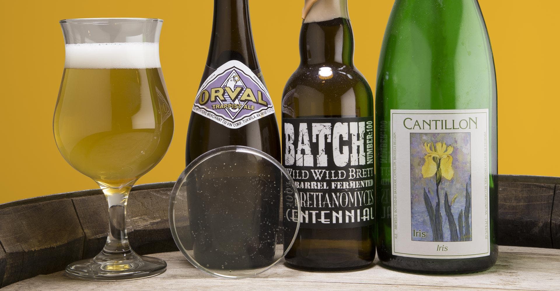 The Many Faces of Brett: Best Homebrew Practices