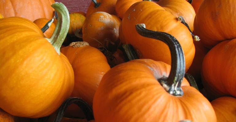No Rests for the Wicked: Pumpkin Ale, Easy as Pie