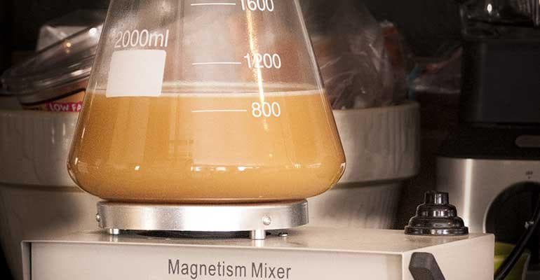 Homebrewing: Incremental Feeding