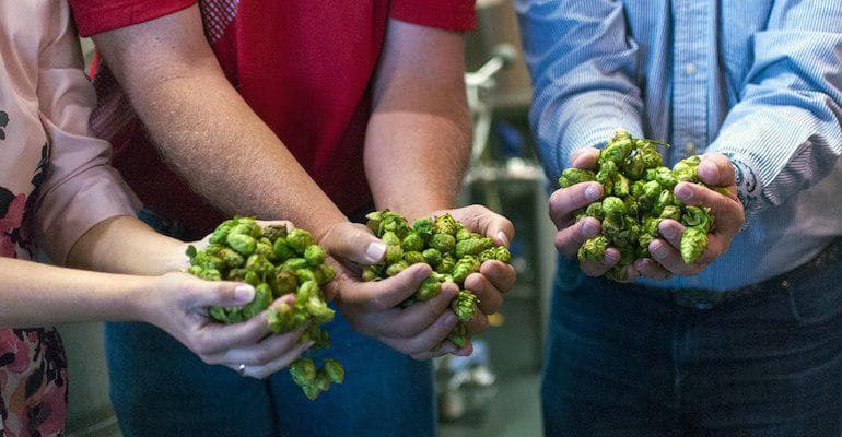 Hop The Vote: Upper Chamber Pale Ale or Representative Saison?