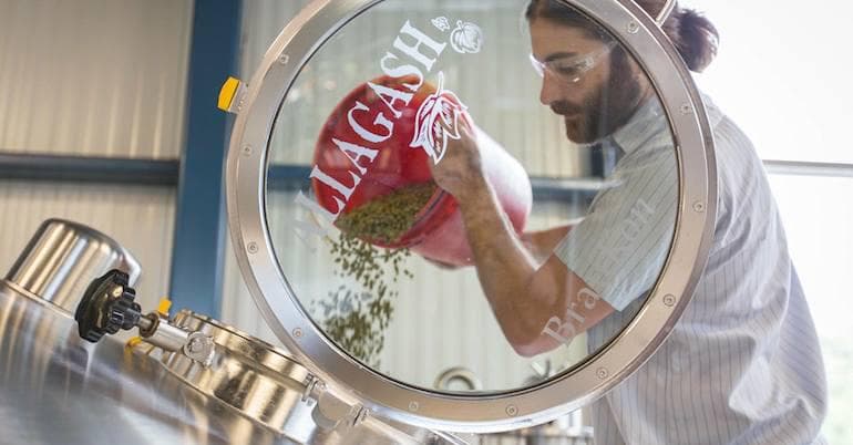 Beer Camp Collaboration: Myron’s Walk Connects Sierra Nevada and Allagash