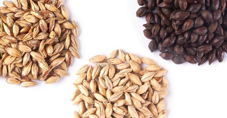 Malt Revealed