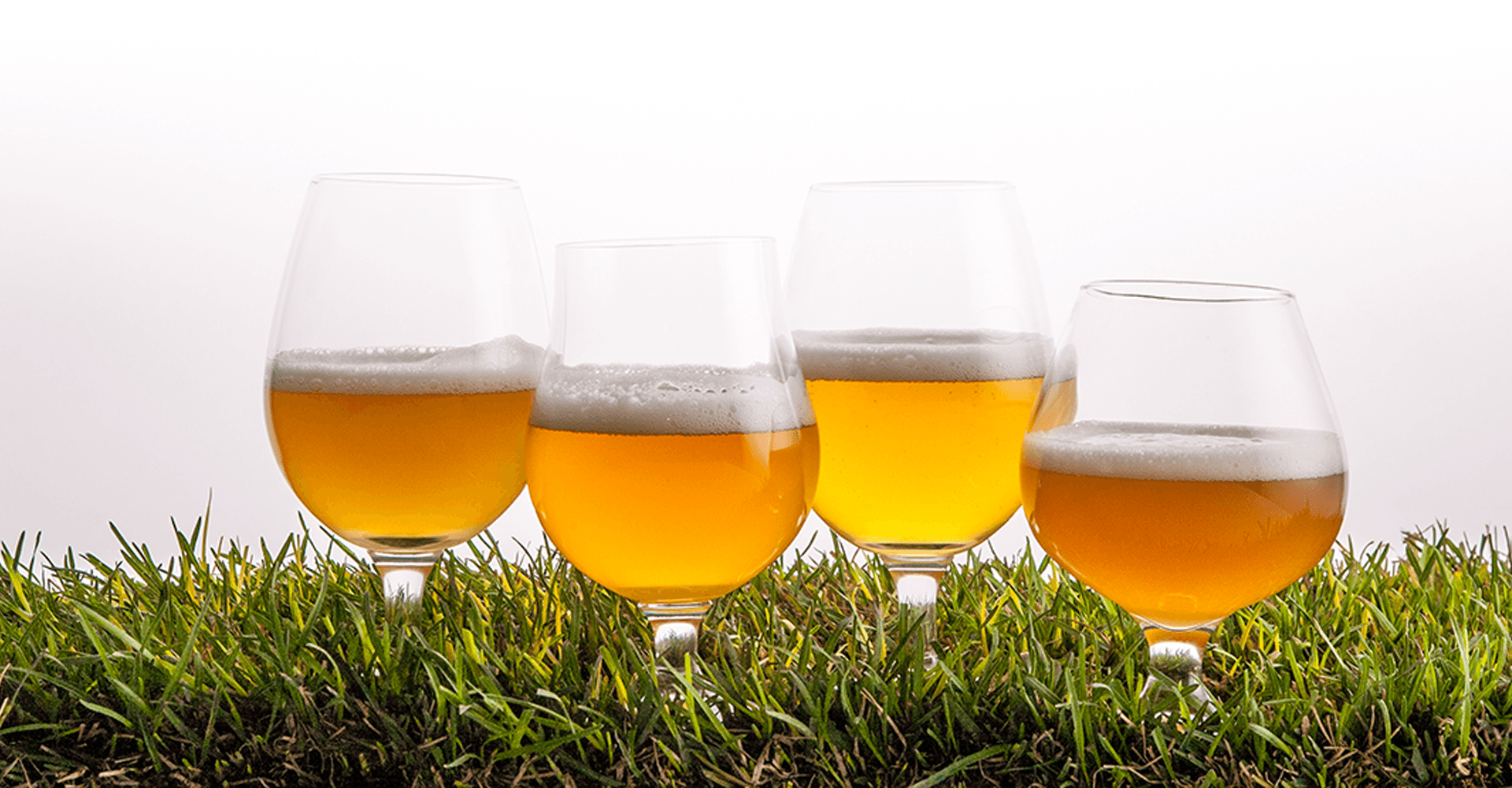 Off-Flavor of the Week: Grassy