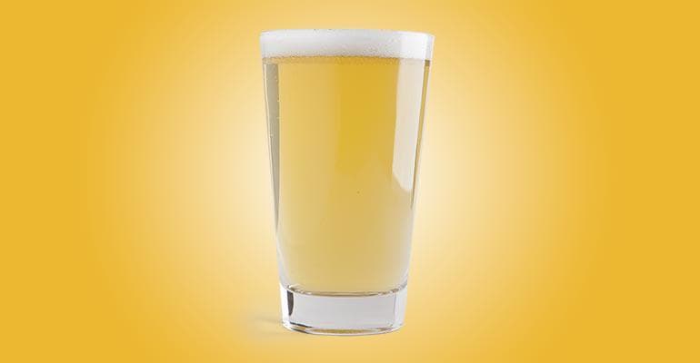 Homebrew Beer Styles for the Unconverted