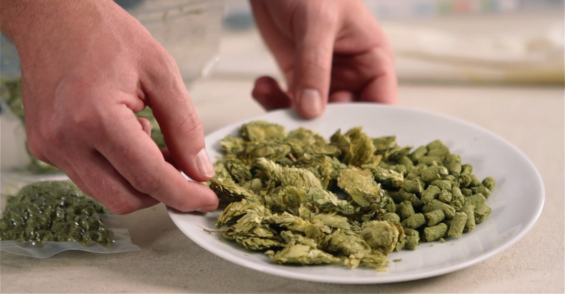 6 Forms of Hops