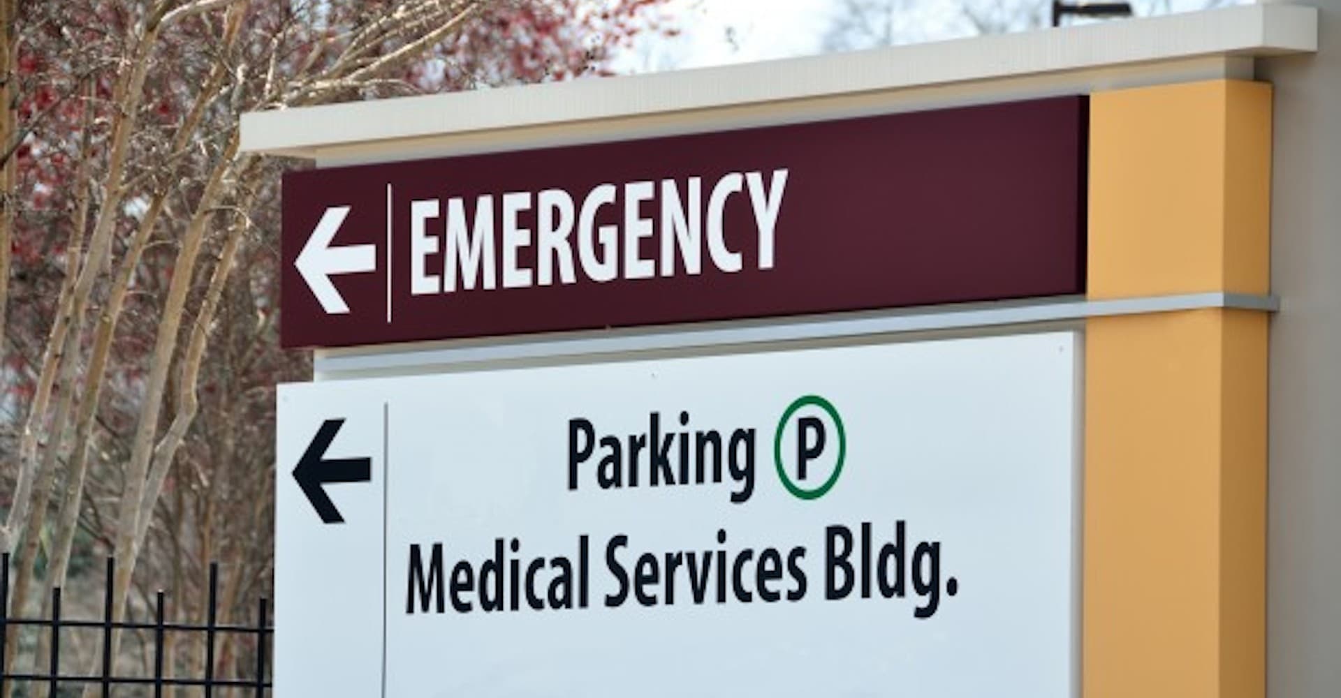 4 Tips for Spine-Friendly Brewing