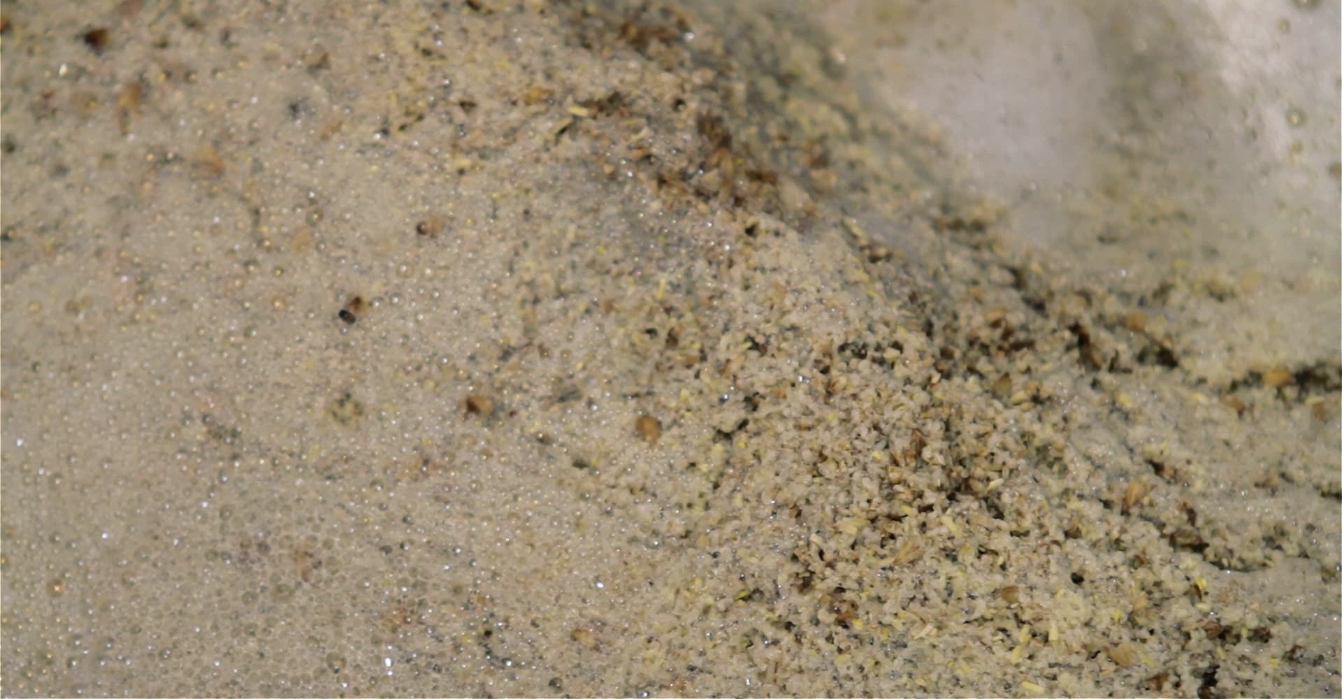 How Efficient is Your Beer?