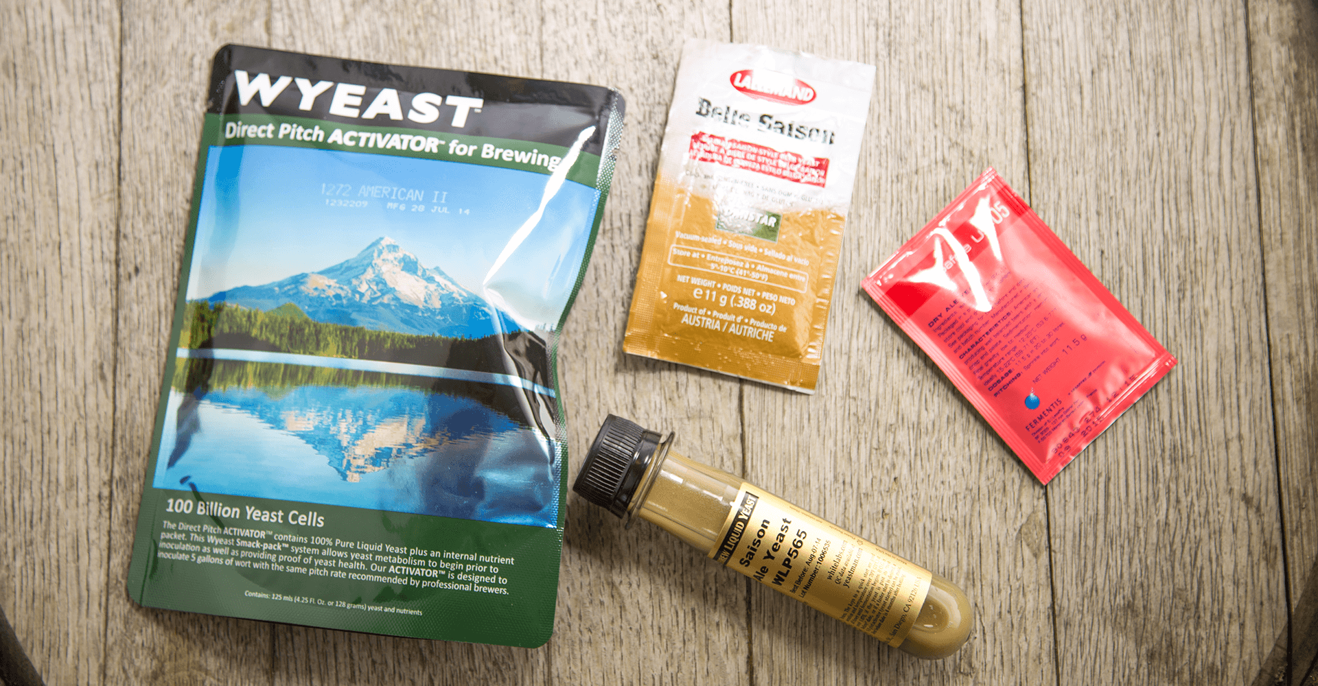 How to Choose a Yeast Strain