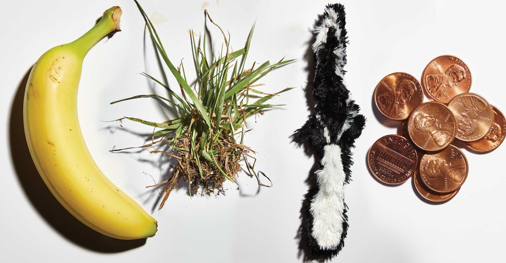 The Remedy of Errors