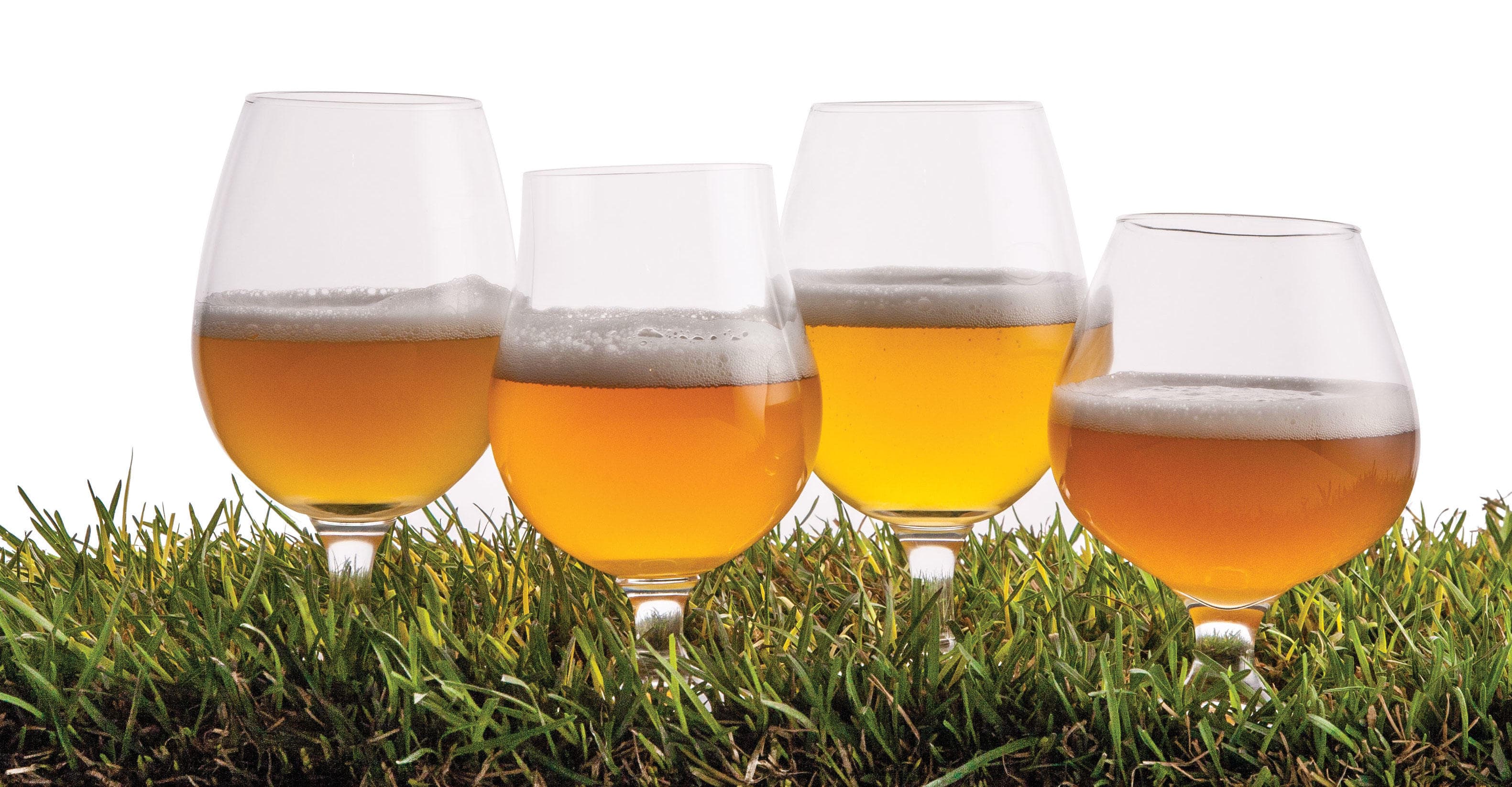 What Makes a Saison a Saison?