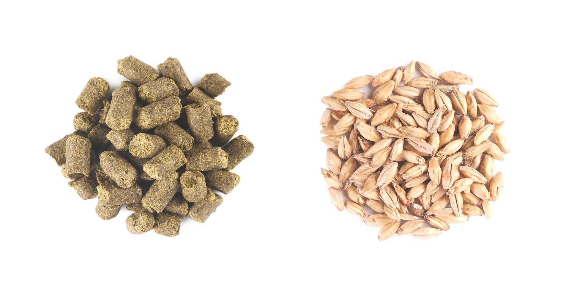 A “Balanced” Beer