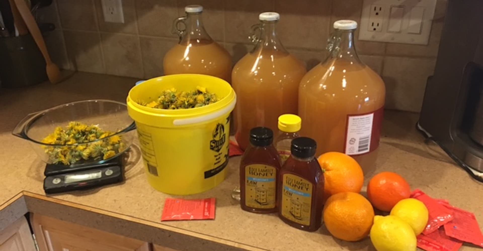 Dandelion Cyser