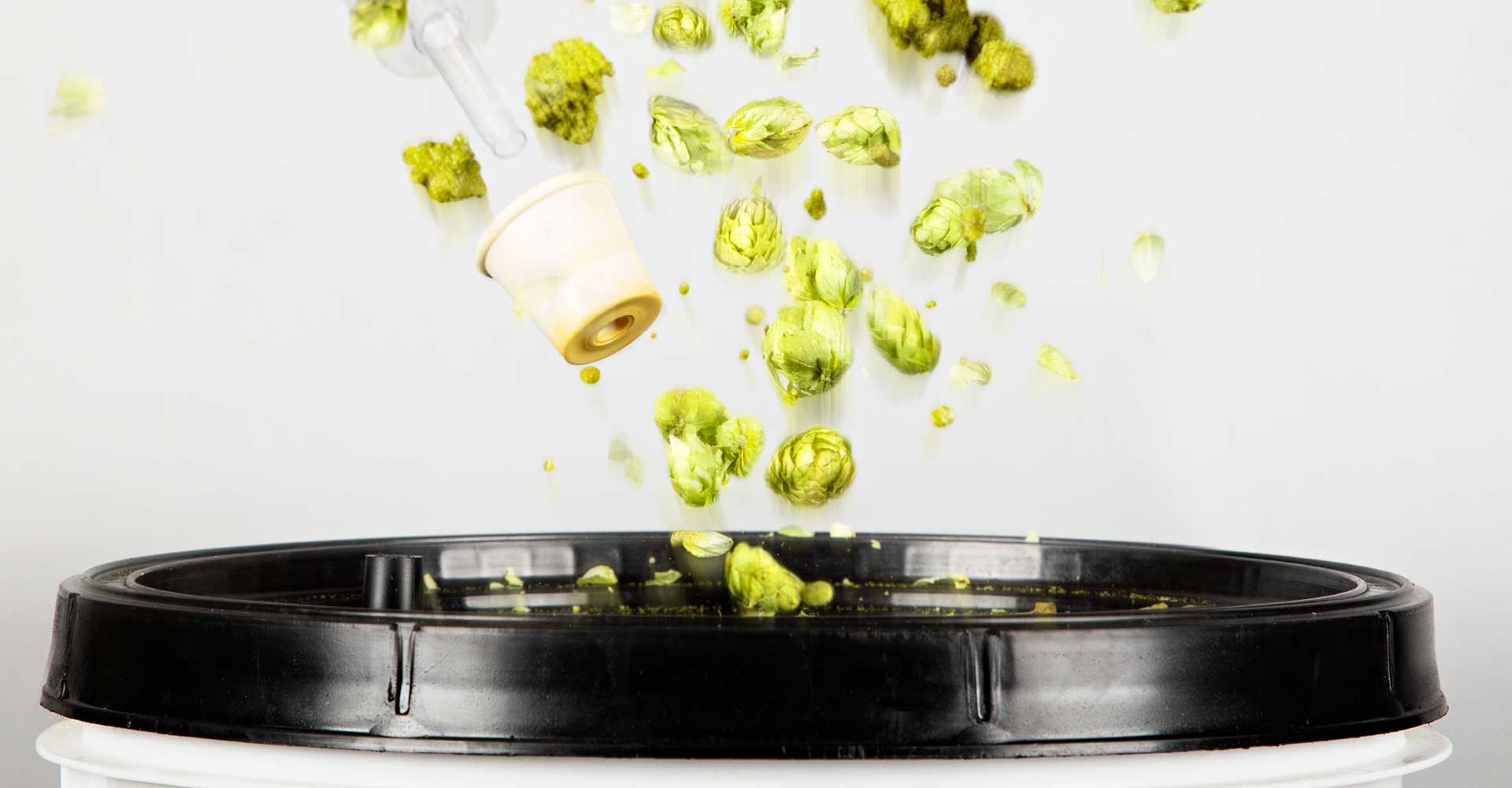 Brewing with Hops: Don’t Be Creeped Out