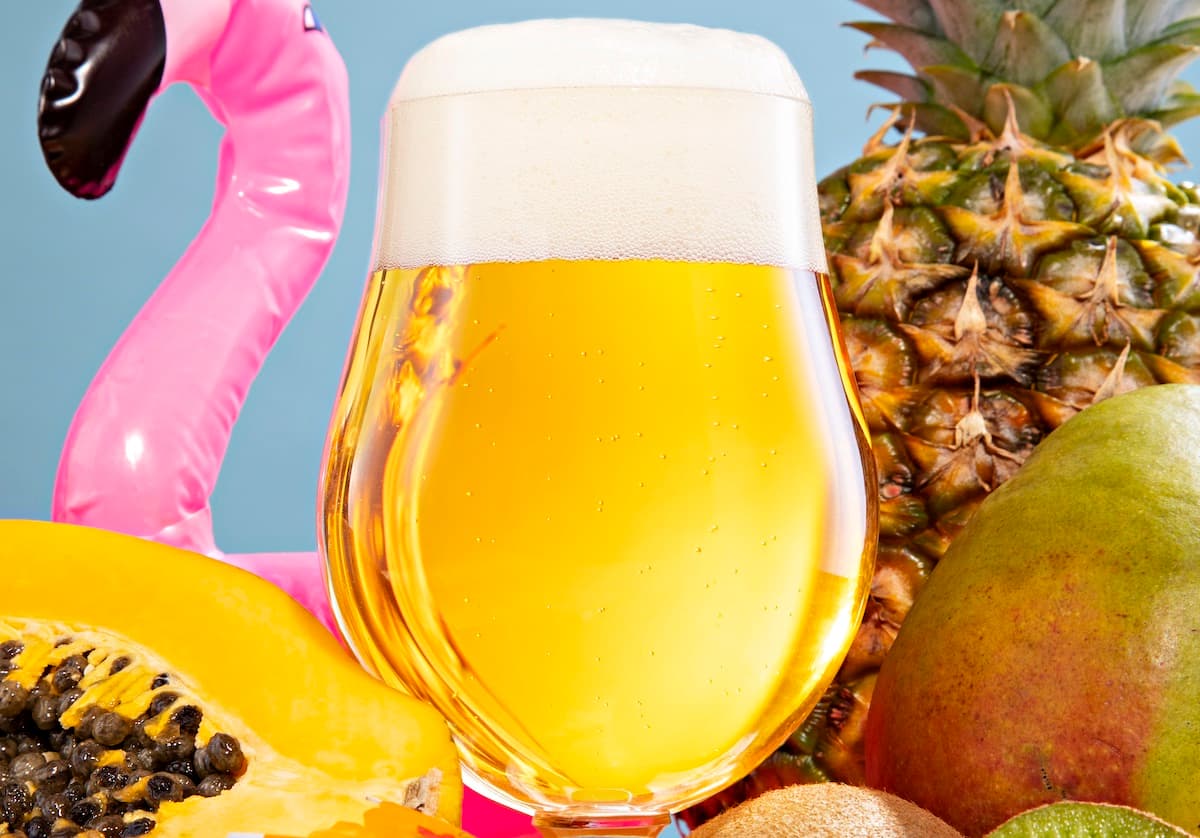 More of the Flavors We Love: Fruited & Spiced IPAs