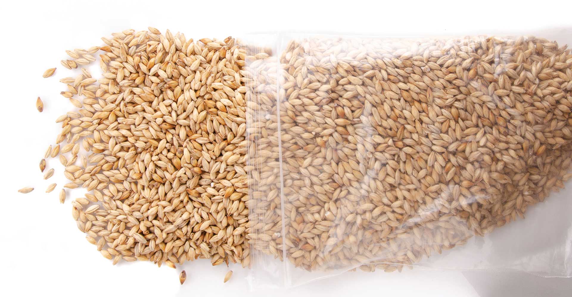Craft Malt: Choose Your Terroir