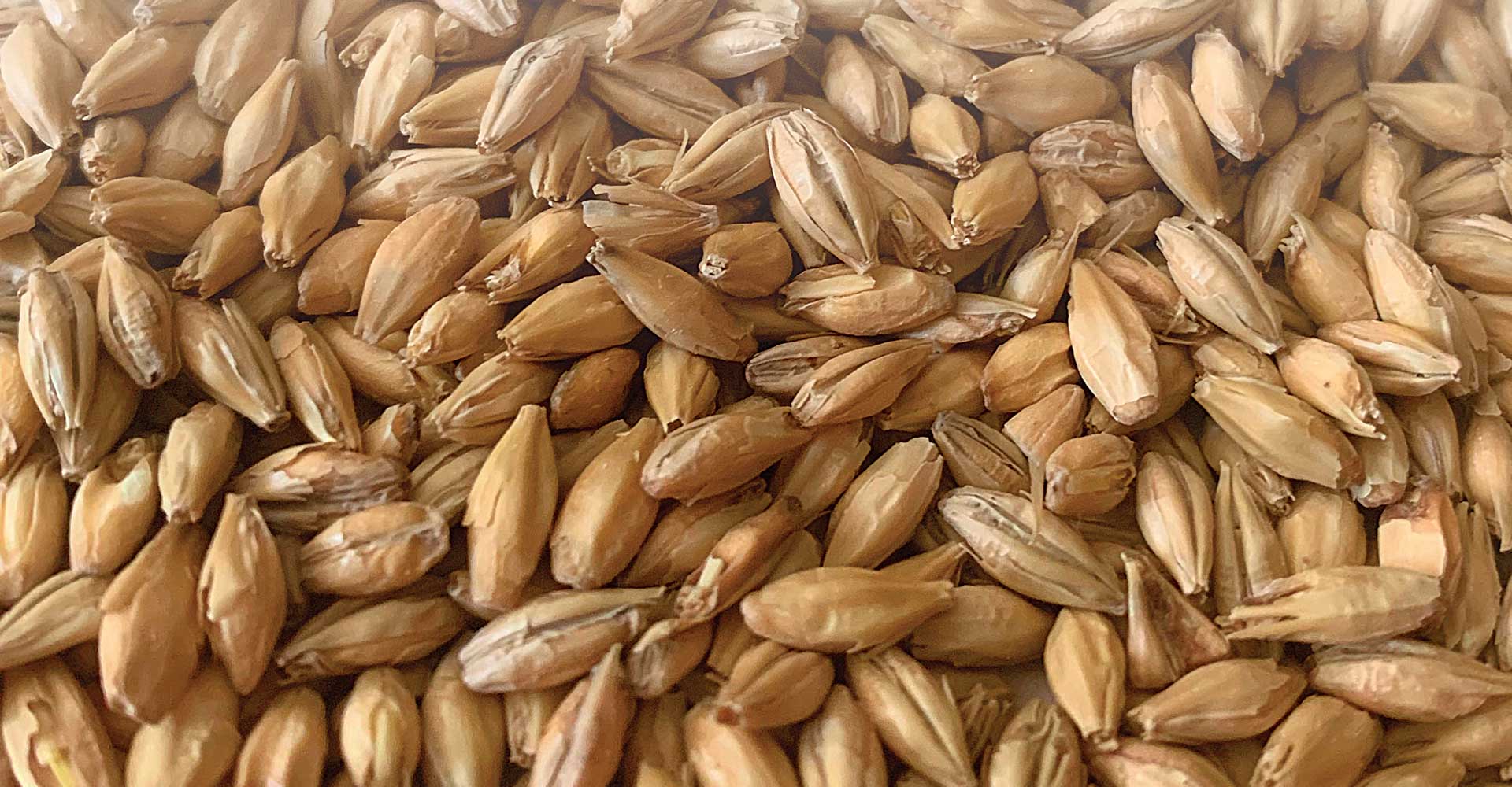 Editors’ Picks: New Ingredients to Try